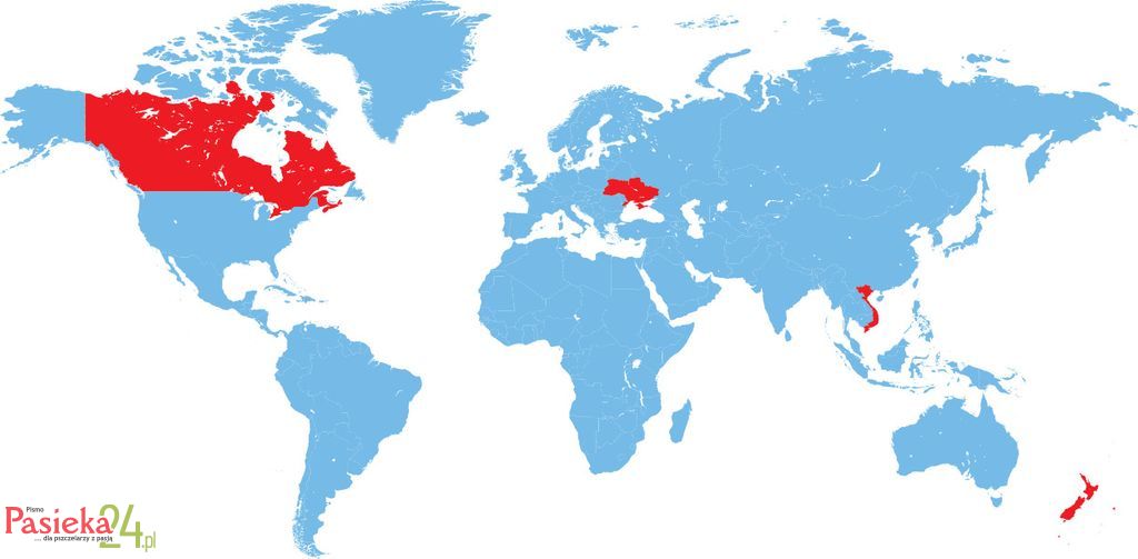 W telegraficznym skrócie